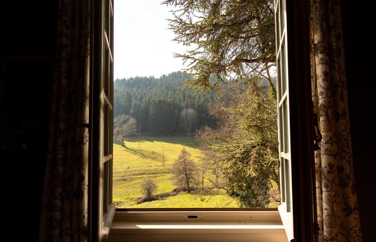 Chateau De Pramenoux Lamure-sur-Azergues Exterior photo